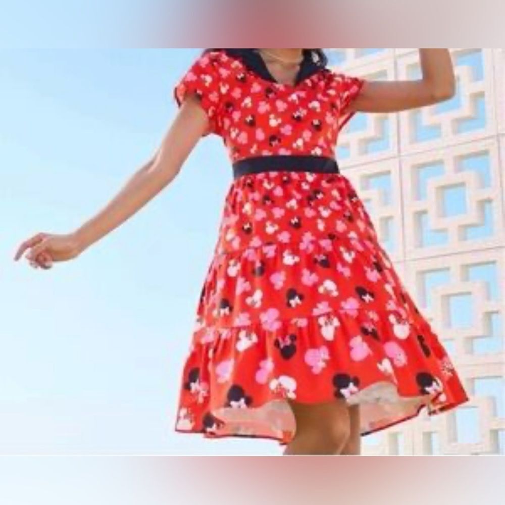 NWT Disney Minnie Mouse Retro Dress